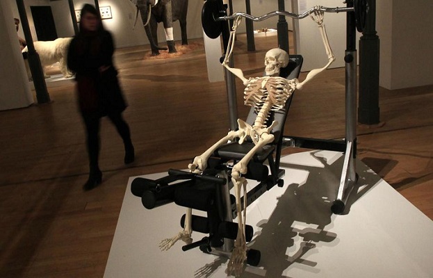 Скелет в спортзале на тренажере. Зависимость от тренировок.