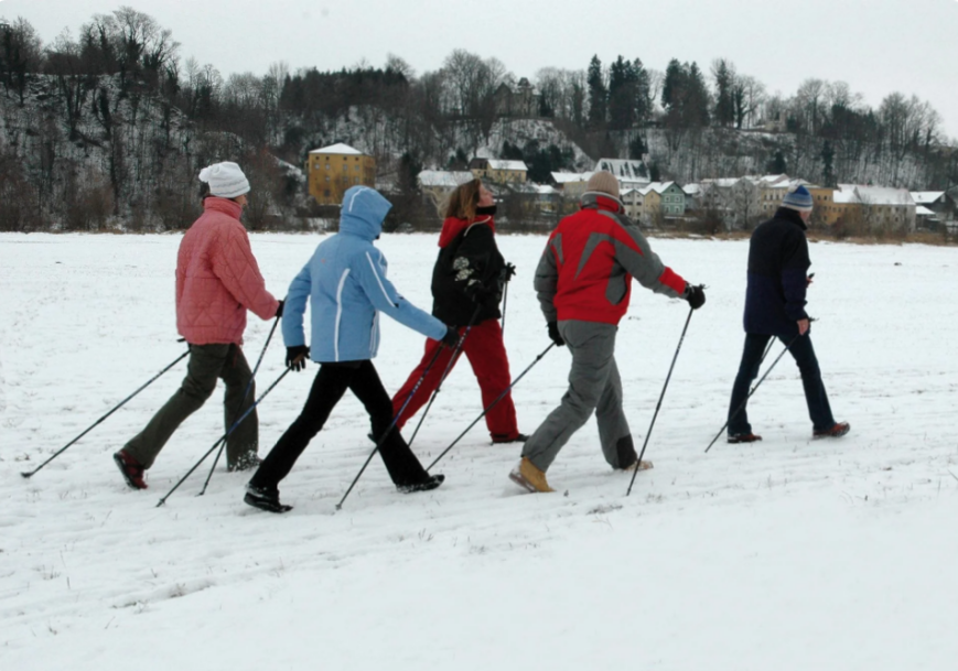 Активный отдых зимой - скандинавская ходьба