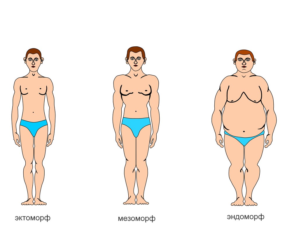 Как похудеть эндоморфу? – диета, упражнения, советы - Спортивная психология